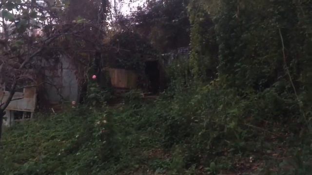 Участок в Сочи смотреть онлайн