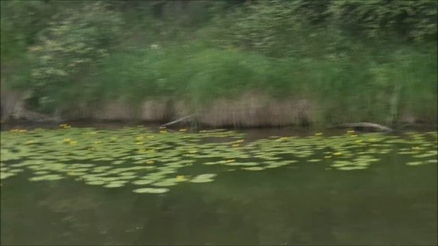 Синеглазая речка . Исп.Светлана Пстыга. смотреть онлайн