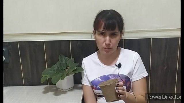 торфяные стаканы и таблетки для рассады смотреть онлайн
