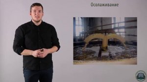 6 3 Подготовка зерна к скармливанию