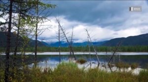 Дальний Восток.Коренные малочисленные народы.
