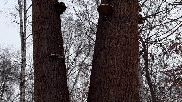 Люди разделятся на две категории. смотреть онлайн