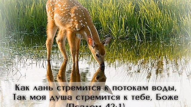 "Но где же Бог твой,покажи?..." христианские стихотворения "Как лань стремится к потокам воды..." смотреть онлайн