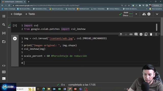 Como Cambiar el Tamaño de Una Imagen en Python (Google Colab) смотреть онлайн