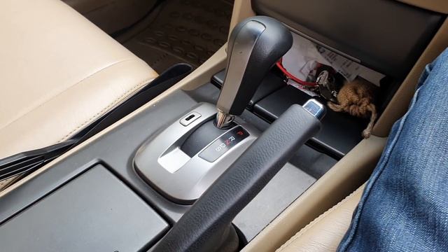 In Depth Tour Honda Accord VTi [CP] (2009) - Indonesia смотреть онлайн