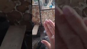 как мы строили дом из чурок  #пеночурка