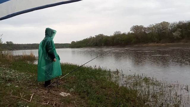 Рыбалка на Дону # Карась пошел смотреть онлайн