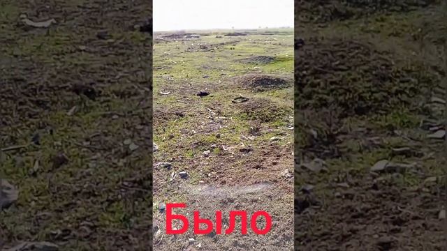 Как покорить сердце девушки. Поздравление для любимой жёны. смотреть онлайн