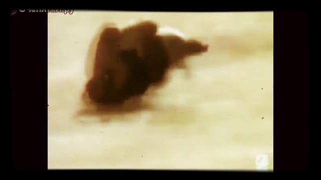 Фразы из мемов смотреть онлайн