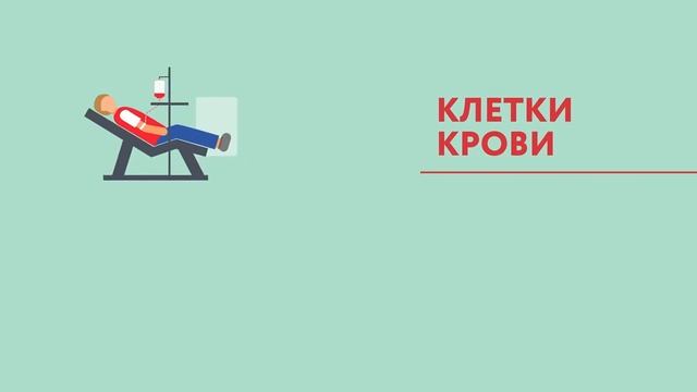 Донорство крови и ее компонентов НФРЗ смотреть онлайн