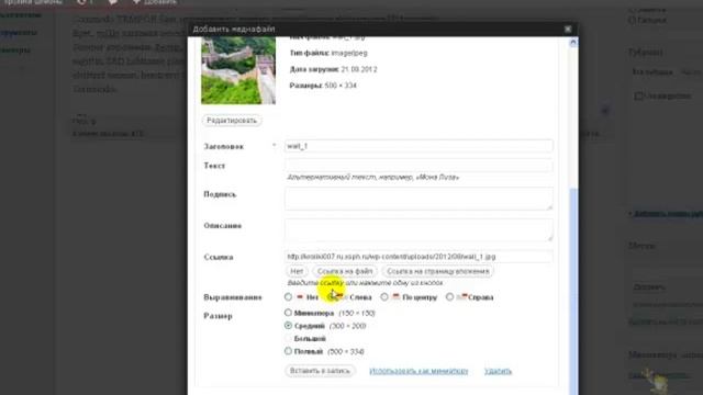 Вордпресс. Пишем заметки. Создаем рубрику. смотреть онлайн