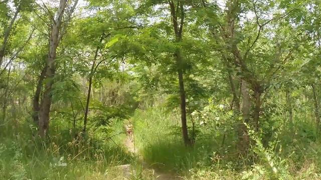 Невинномысск ПВД 12 06 2015 смотреть онлайн