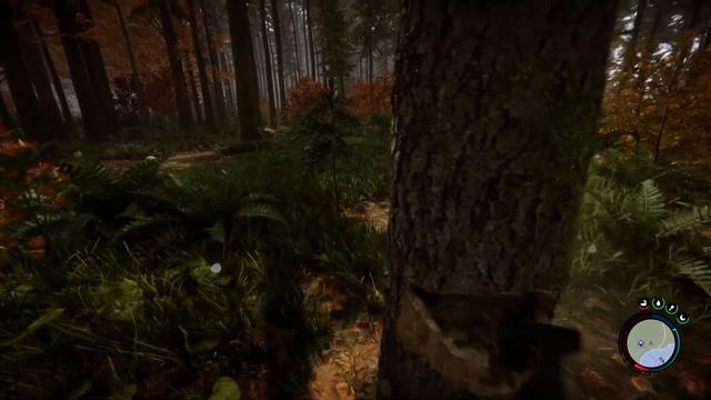 Sons Of The Forest - начало смотреть онлайн