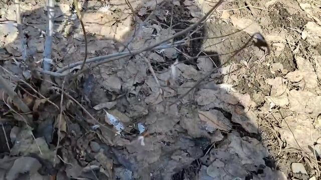 4 апреля.Весь день во дворе. смотреть онлайн
