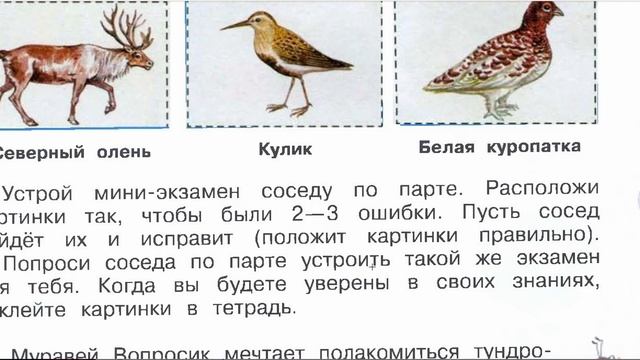 Страница 37 Рабочая тетрадь по окружающему миру за 4 класс 1 часть Плешаков Школа России смотреть онлайн