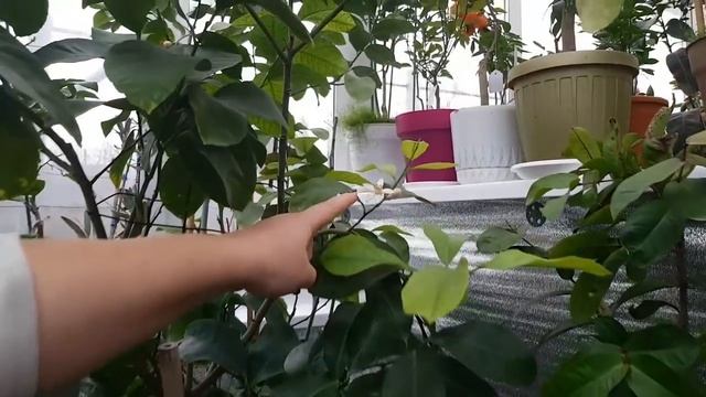 Тем временем (продолжение) смотреть онлайн