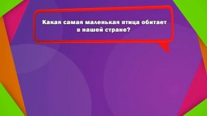 1 апреля - Международный день птиц // Викторина для детей