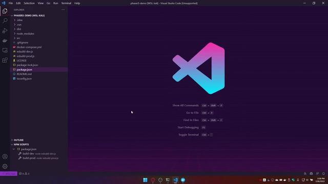 Ambiente de Desarrollo con Visual Studio Code, Docker, Typescript y Esbuild смотреть онлайн
