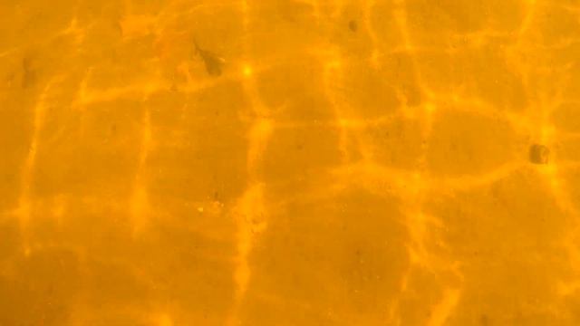 Купаемся на реке Нева смотреть онлайн