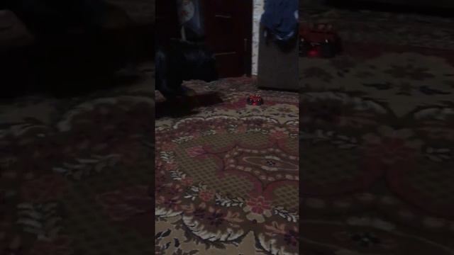 Ротвейлер играет смотреть онлайн
