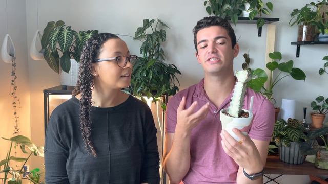 BESTIE Guesses Plant Prices! | $25 for a Thai Constellation?! смотреть онлайн