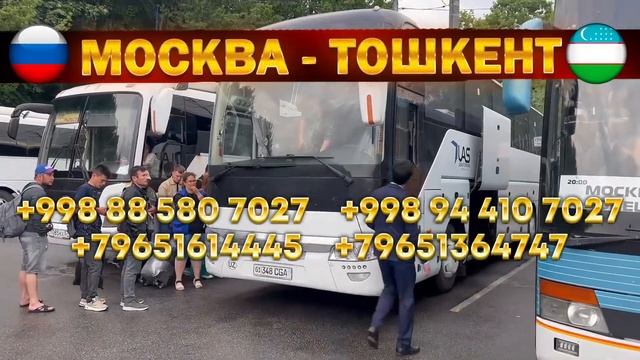 Краснодар Ташкент автобус Мариупол Ташкент автобус #краснодар #ташкент #краснодарташкентавтобус ?? смотреть онлайн
