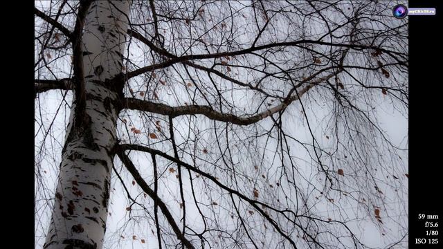 Обзор Sigma 18-200mm