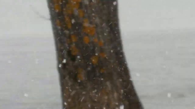 Кама в марте смотреть онлайн