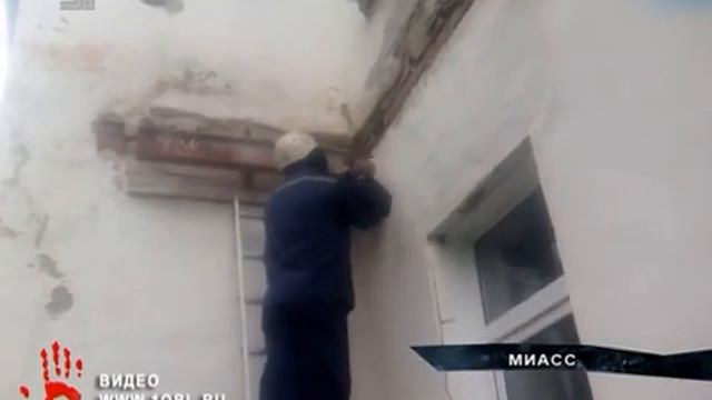 Осы атаковали один из детских садов Челябинской области смотреть онлайн