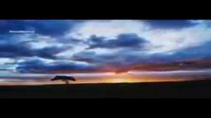 История про сподвижника джулейбиба