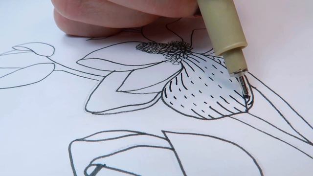 How to draw a magnolia line art, fun, relaxing and satisfying Painting Video смотреть онлайн