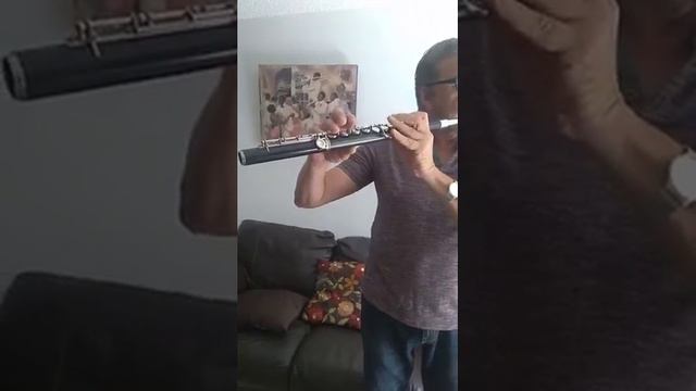 Playing Amati wood flute for sale смотреть онлайн