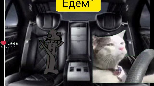 Жизнь котов 3