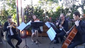 Coldplay "Viva La Vida"