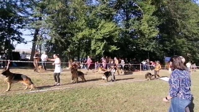 Лучший производитель - моно Краснодар 2022