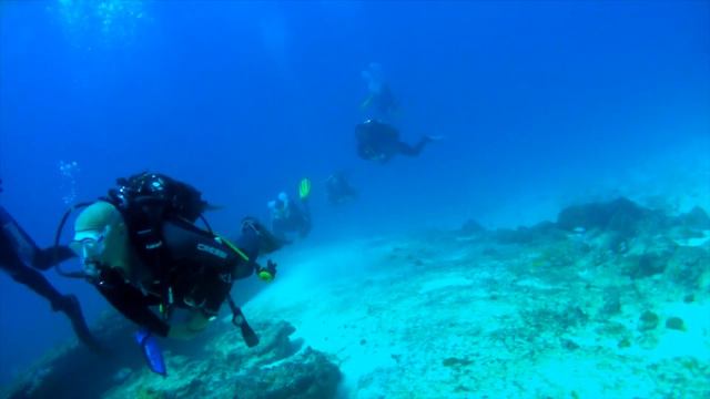 Cabo Verde Diving смотреть онлайн