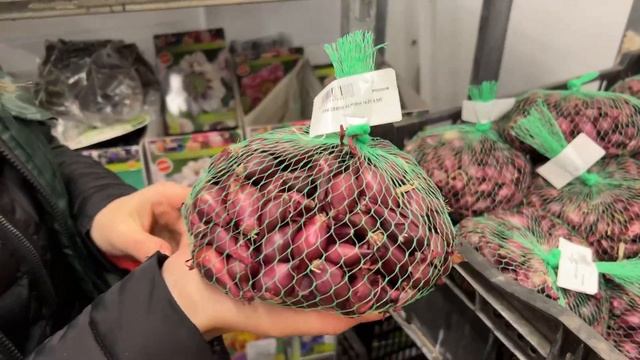 Обзор посадочного материала микс: саженцы роз, клематисы, лук-севок! смотреть онлайн