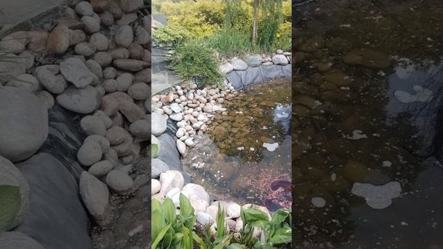 Мощная отливка чистка сердца ❤💞и первых трех чакр часть 2.Аминь смотреть онлайн