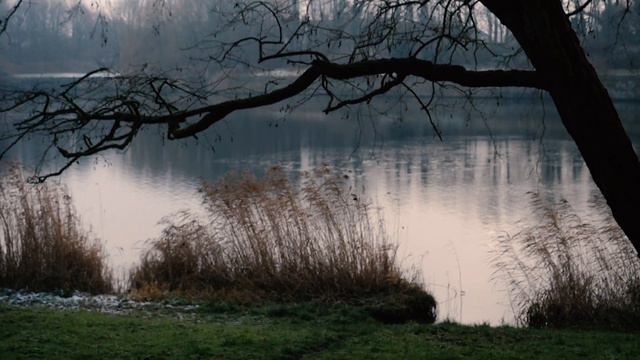 7 minute New Year meditation смотреть онлайн