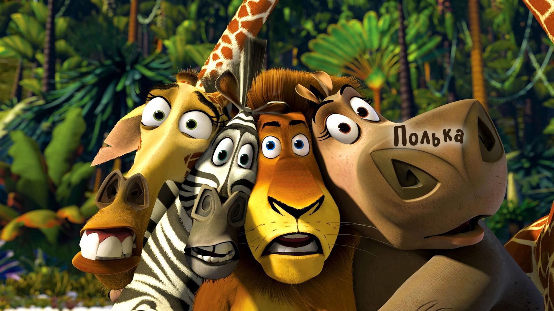 АЛХИМИЯ МУЗЫКИ