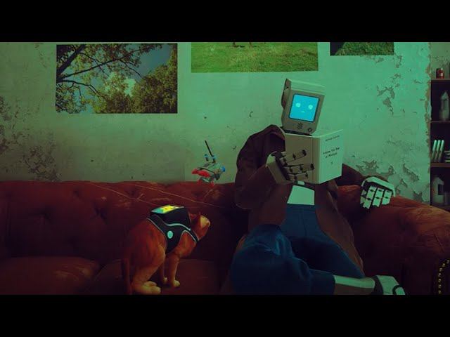 Stray 5 смотреть онлайн