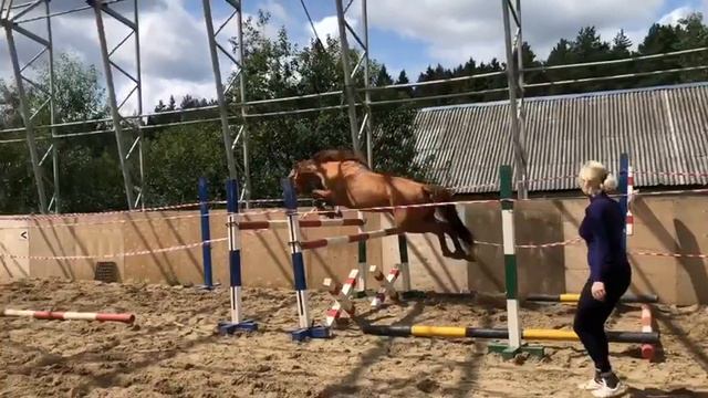 Бимбом смотреть онлайн