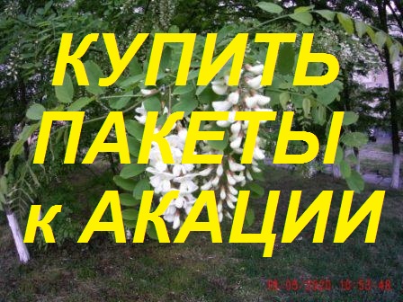 Тестируем пчелопакеты на белую акацию._Узбечка_-_Джубга_-комплектация,сроки покупки..mp4 смотреть онлайн