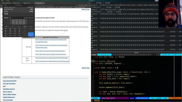 Intro To Rust Cryptography: Hashing with SHA2 смотреть онлайн