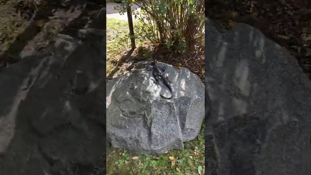 Установка крышки на люк