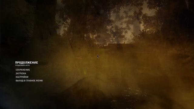 The Witcher 2: Assassins of Kings (30 Mb/s / 30 fps / 1080p) смотреть онлайн