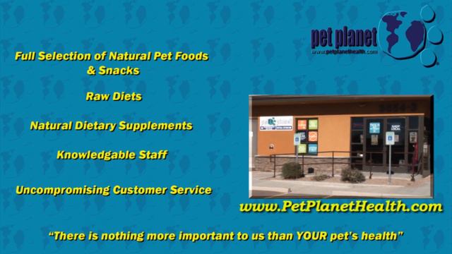 The Animal Rescuers adopted by Pet Planet presents AZ Exotic Bird Rescue смотреть онлайн
