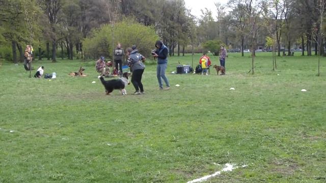 Антоша и Гай на отборочных соревнованиях по фризби 11.05.15 смотреть онлайн