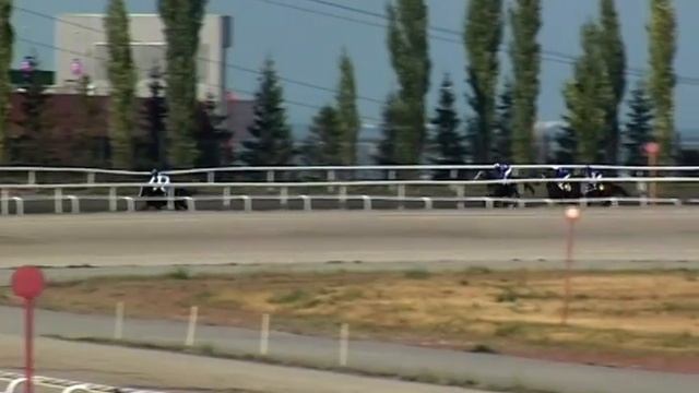 13 Августа 2016 7 Скачка Приз Министерства Сельского Хозяйства РФ смотреть онлайн