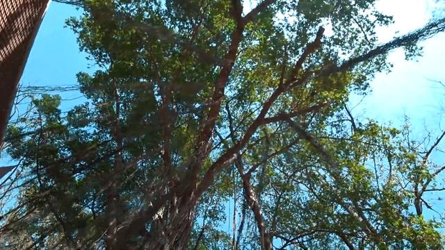 АЮТТАЙЯ. ДРЕВНЯЯ СТОЛИЦА СИАМА. AYUTTHAYA